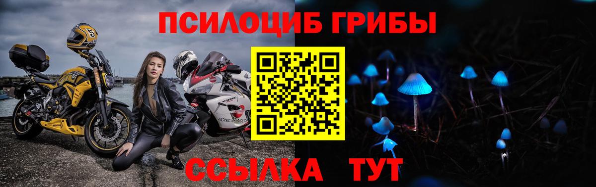 Галлюциногенные грибы Magic Shrooms  Вход с VPN  Заволжье  Псилоцибиновые грибы Psilocybine cubensis 